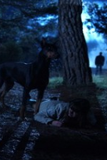 Poster de Episódio El unicornio (2008)