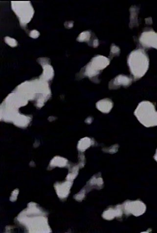 Poster 1 de Curta 01.39411.999 (2012)