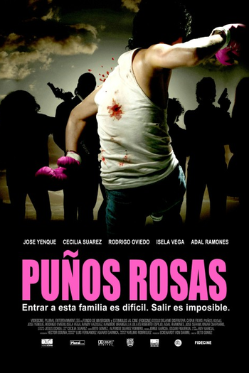 Poster de Filme Puños Rosas (2004)