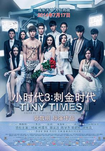 Tiny Times 3.0 (Tiny Times 3.0)