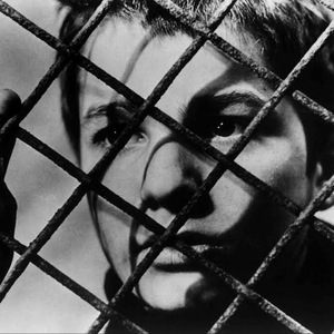 Foto de perfil de Paulo