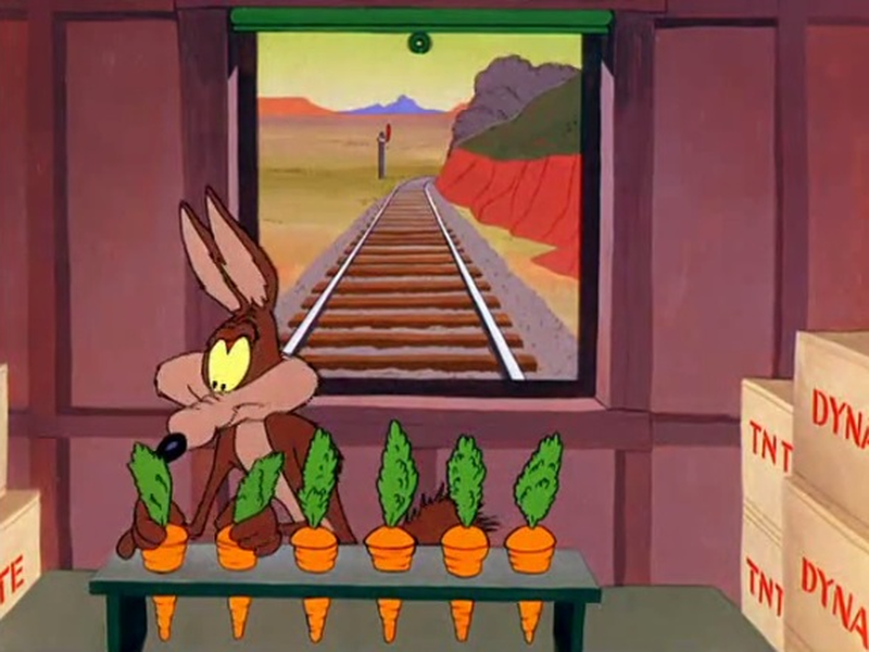 Foto 1 de Operação: Coelho