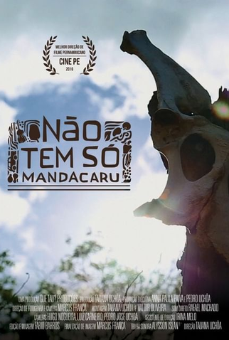 Poster 2 de Curta Não Tem Só Mandacaru (2016)