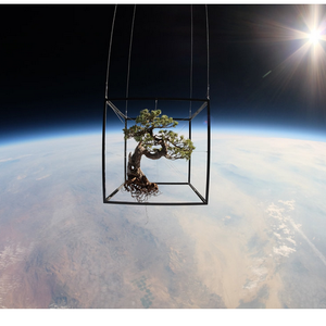 Foto de perfil de Adriana