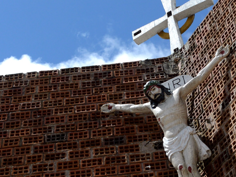 Foto 12 de O Guará e o Anum