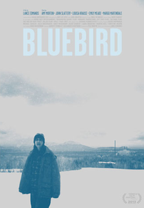 Bluebird (Bluebird)