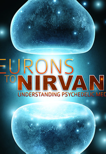 Neurônios ao Nirvana (Neurons to Nirvana)