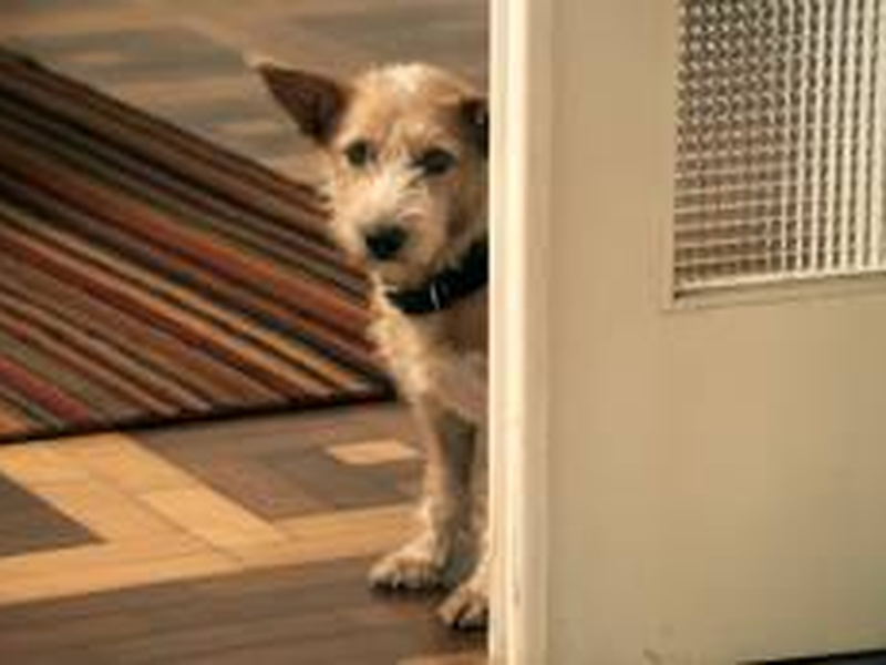 Foto 1 de A História de Sofia