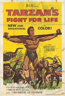 Tarzan e a Tribo Nagasu - Poster / Capa / Cartaz - Oficial 1