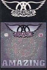 Aerosmith: Amazing (Aerosmith: Amazing)