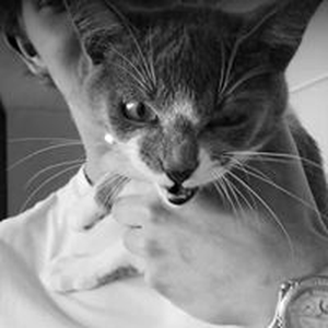 Foto de perfil de Arthur J.