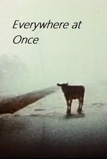 Everywhere at Once - Poster / Capa / Cartaz - Oficial 1