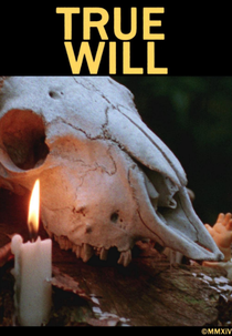 True Will (True Will)