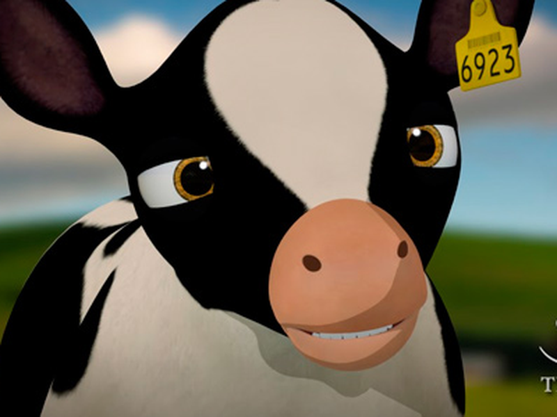 Foto 1 de Bo, a Vaca