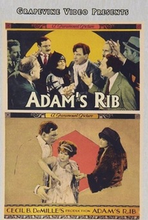 Adam's Rib - Poster / Capa / Cartaz - Oficial 1