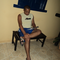 Foto de wilson silva