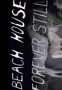 Forever Still (Forever Still)