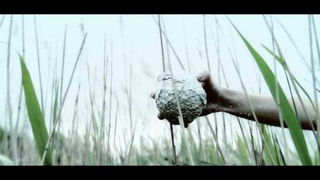 Trailer: t