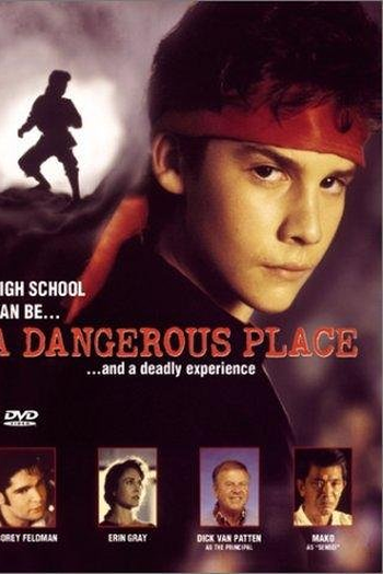  de Filme Punhos Assassinos (1995)