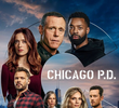 Chicago P.D.: Distrito 21 (8ª Temporada)