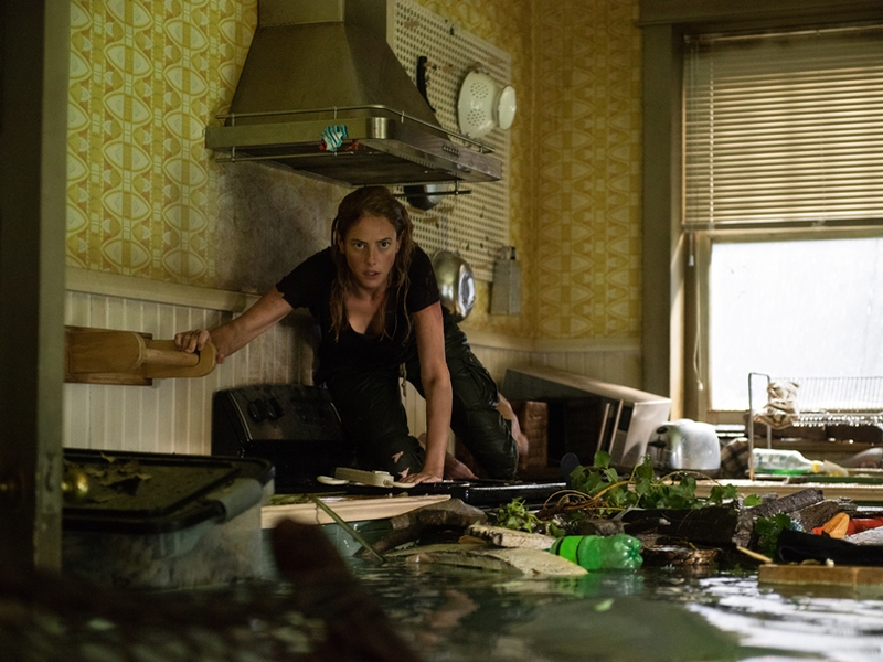 Foto 1 de Predadores Assassinos