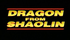 Dragon From Shaolin (1996) USA Video Trailer