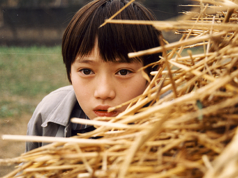 Foto 3 de Living Dream