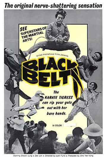 Poster de Filme The Black Belt (1973)