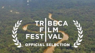 Trailer: A River Below
