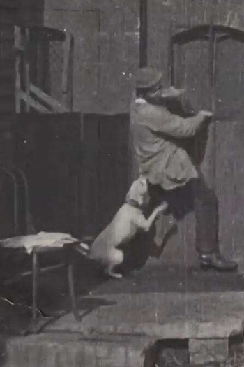 Poster de Curta The Tramp and the Dog (1896)