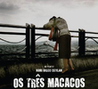 3 Macacos