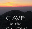Cave in the Snow
