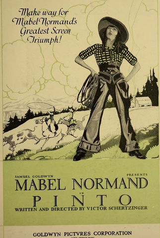 Poster 1 de Filme Pinto (1920)