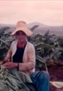 Em Arapiraca o trabalho canta  (Em Arapiraca o trabalho canta )