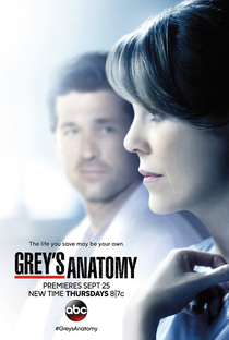 A Anatomia de Grey (11ª Temporada) - Poster / Capa / Cartaz - Oficial 1