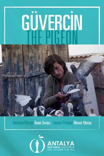  de Filme O Pombo - Um Refúgio para Sobreviver (2018)