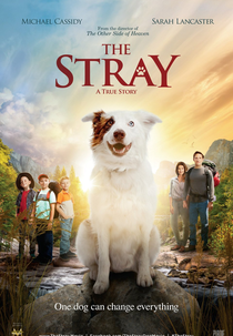 Uma Aventura e Tanto (The Stray)