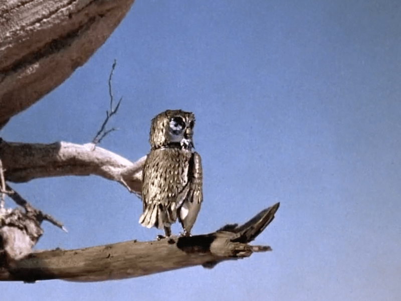 Foto 5 de Fúria de Titãs