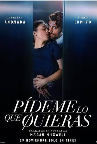 Poster 2 de Filme Peça-me o que quiser (2024)