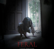 Feral