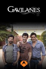 Gavilanes (Gavilanes)
