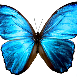 Foto de perfil de Vanessa