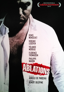 Ablations (Ablations)