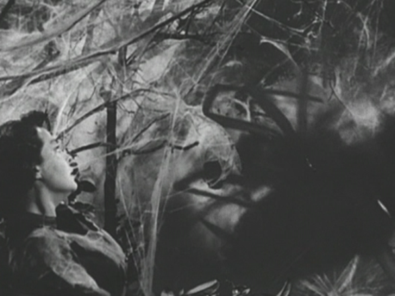 Foto 4 de O Monstro Cósmico