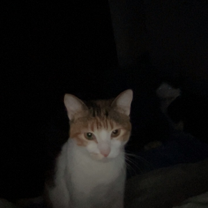 Foto de perfil de Catharine