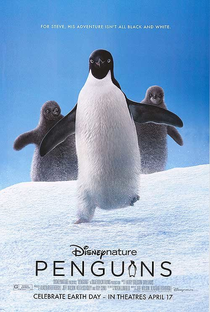 Penguins - Poster / Capa / Cartaz - Oficial 1