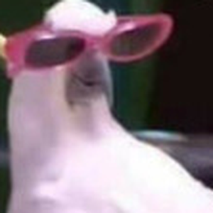 Foto de perfil de deborah s