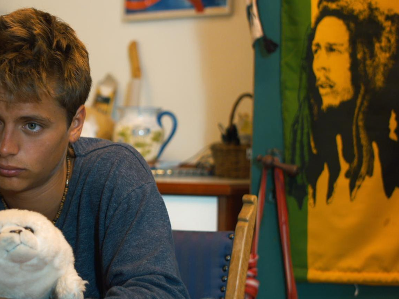 Foto 5 de Hestetraileren