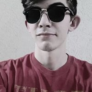 Foto de perfil de Luiz Bergmann