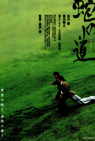 Poster 1 de Filme O Caminho da Serpente (1998)